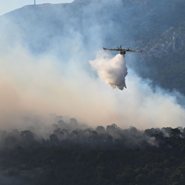 Φωτιά τώρα στον Λάτα Ευβοίας: 7 αεροσκάφη και 60 πυροσβέστες στο σημείο - Μήνυμα 112