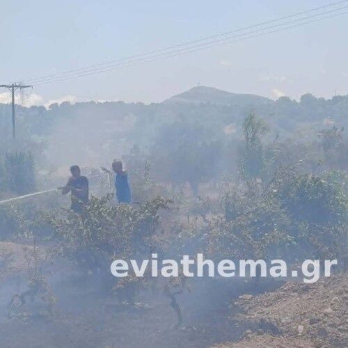 Φωτιά στο Αλιβέρι: Δεύτερο 112 για εκκένωση του Προφήτη Ηλία – Ενισχύθηκαν οι δυνάμεις