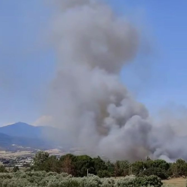 Φωτιά στη Θεσσαλονίκη: 112 για εκκένωση του βόρειου τμήματος της Σουρωτής