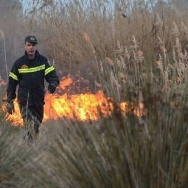 Θεσσαλονίκη: Υπό έλεγχο οι εστίες φωτιάς που ξέσπασαν στο Φίλυρο