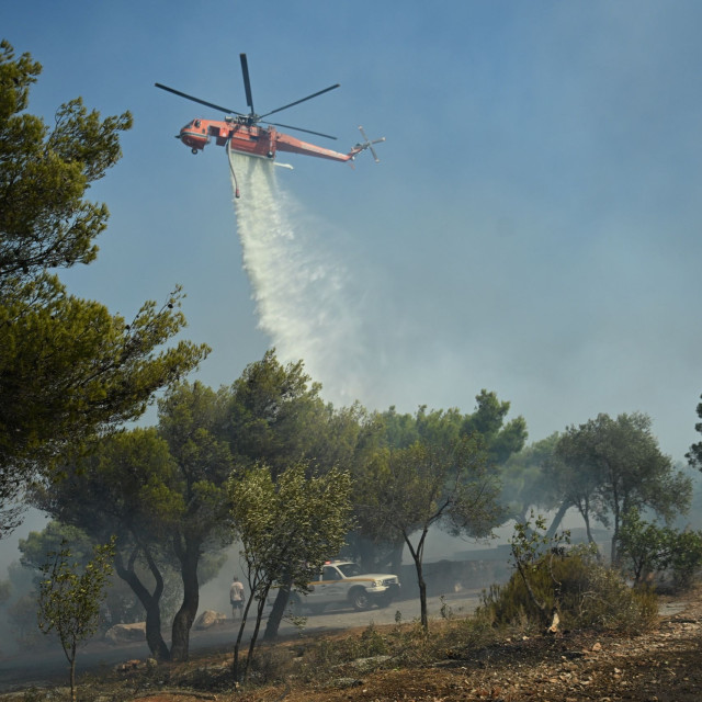 Ήχησε το 112 για τη φωτιά στην Ευκαρπία Θεσσαλονίκης - Συμμετέχουν και πυροσβέστες από τη Μολδαβία