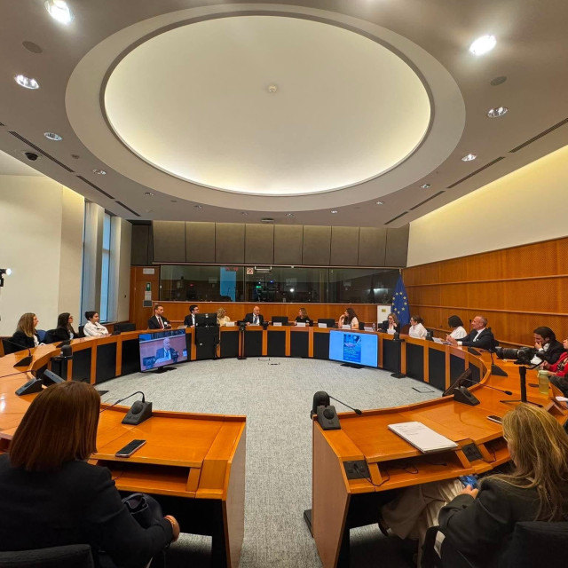 Λαμπρίνα Μπαρμπετάκη: Φθίνουσα η πορεία της πρόσβασης των ασθενών σε νέες θεραπείες στην Ελλάδα