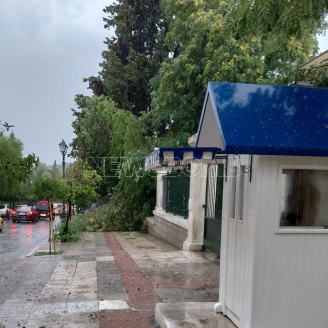 Κακοκαιρία - Προεδρικό Μέγαρο: Δέντρο έπεσε έξω από την Προεδρική Φρουρά