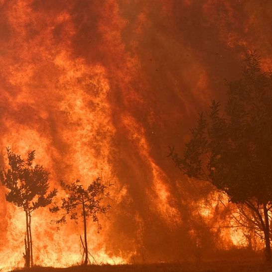 Εκτός ελέγχου οι πυρκαγιές στην Ευρώπη: Εφιαλτικές προβλέψεις επιστημόνων για «Κόλαση του Δάντη»