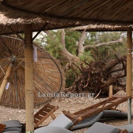 Κακοκαιρία: Το μπουρίνι σάρωσε τις παραλίες της Αρκίτσας - Ξεριζώθηκαν δέντρα