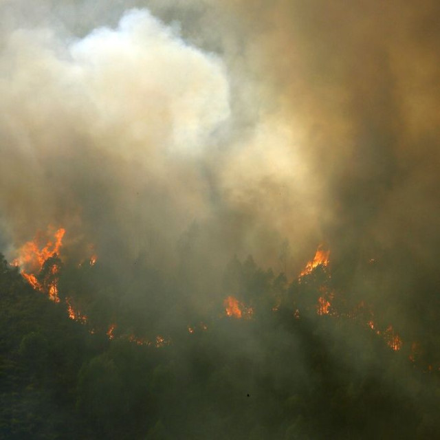 Φωτιές και στην Πορτογαλία εν μέσω καύσωνα - Πάνω από 1.000 πυροσβέστες επιχειρούν