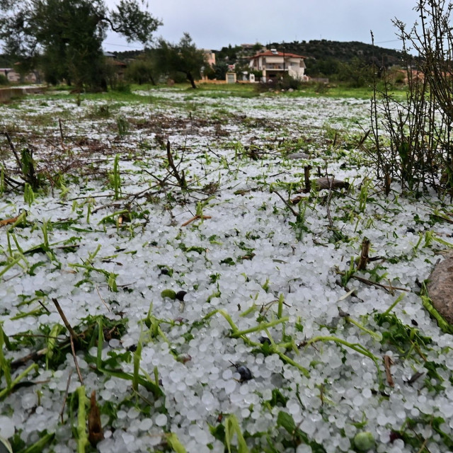 ΕΛΓΑ: Ξεκίνησαν οι καταγραφές ζημιών από τις χαλαζοπτώσεις – Τροπολογία για αποζημιώσεις στο 100%