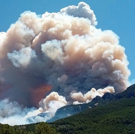 Explainer: Τι είναι το «σύννεφο φωτιάς» και γιατί κάνει τις πυρκαγιές στην Ευρώπη πιο επικίνδυνες