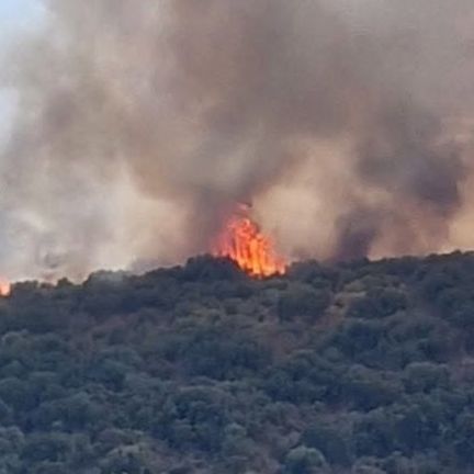 Φωτιά τώρα στο Γύθειο: 112 για ετοιμότητα, ισχυρές δυνάμεις στο σημείο