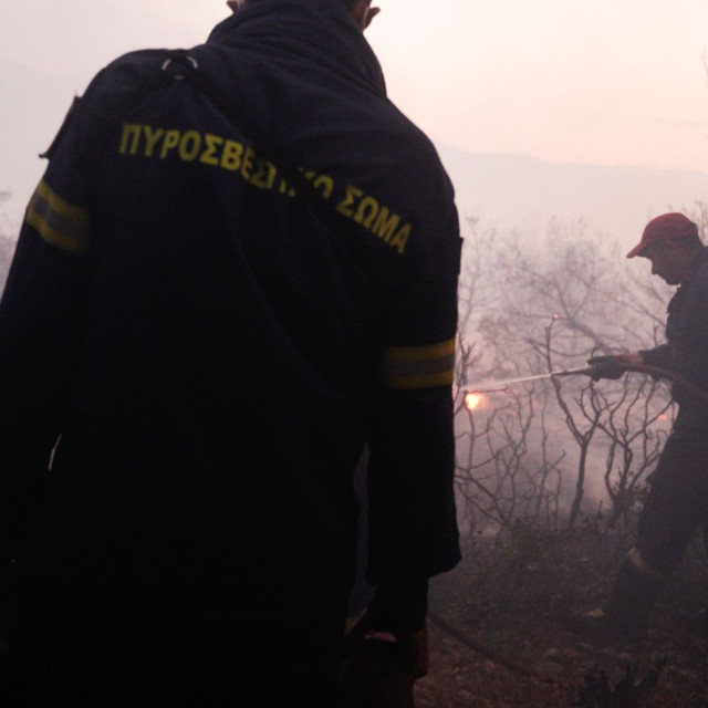 Φωτιά στην Αγία Τριάδα Σητείας – Επιχειρούν πυροσβεστικές δυνάμεις και υδροφόρες