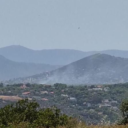 Φωτιά τώρα στην Αρτέμιδα - Καίει κοντά στο Δημαρχείο