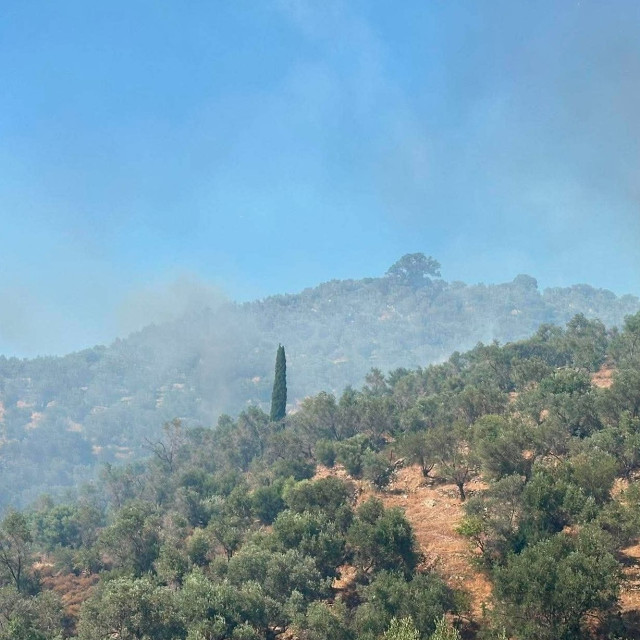 Φωτιά στο Πλωμάρι: Καλύτερη η εικόνα των πύρινων μετώπων – Τα νεότερα