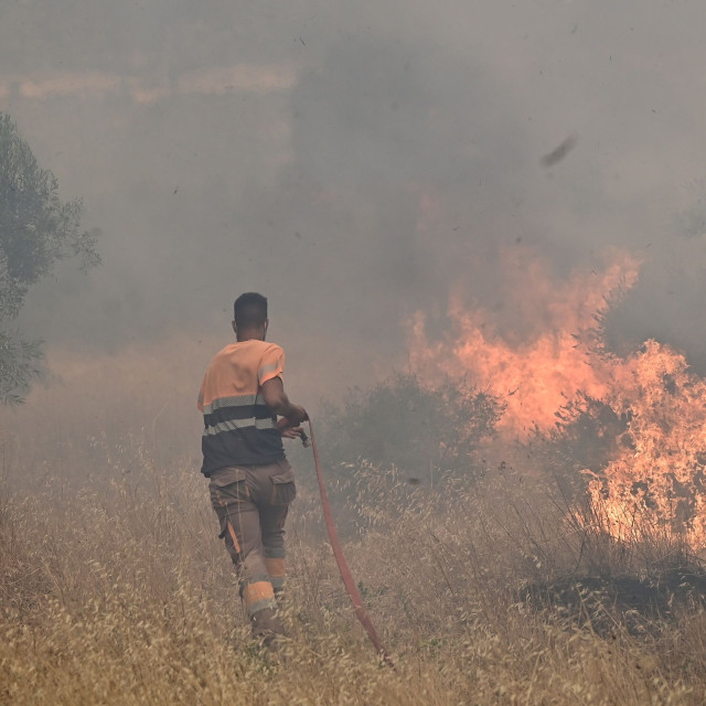 Φωτιά στο Καλαμάκι Βοιωτίας: 112 για Πόρτο Γερμενό και Προσήλι – «Εκκενώστε προς Μάνδρα»