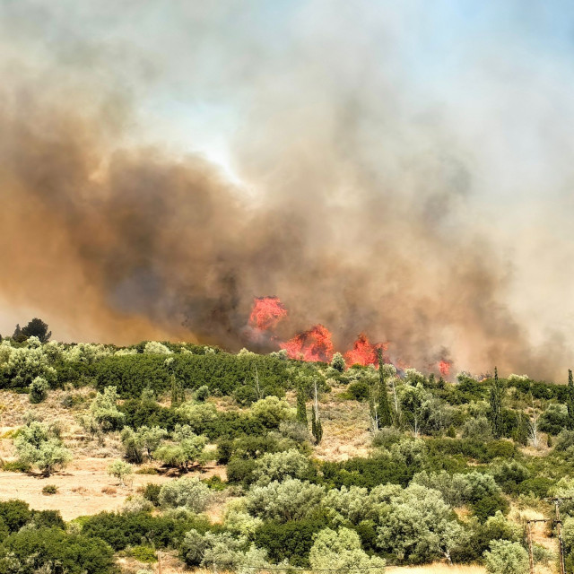 Μεγάλη φωτιά στα Φίχτια Αργολίδας κοντά στις Μυκήνες – Έκλεισε η Παλαιά Εθνική Οδός, ήχησε το 112