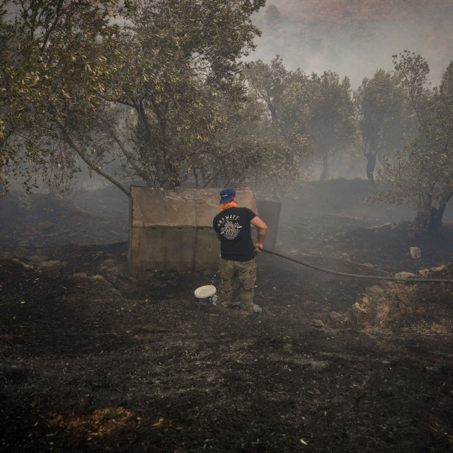 Μυτιλήνη: H φωτιά έκαψε 614 στρέμματα στο Πλωμάρι - Οι κάτοικοι την αποδίδουν σε κολώνα του ΔΕΔΔΗΕ