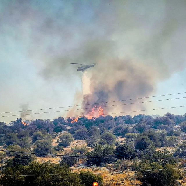 Φωτιά Βοιωτία: Οι φλόγες πέρασαν μέσα από την Ξηρονομή - Μπαράζ εκκενώσεων