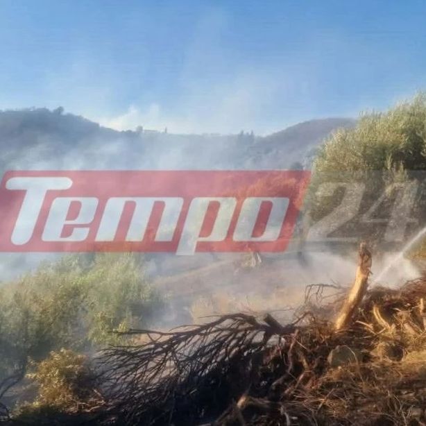 Αχαΐα: Ενισχύθηκαν οι δυνάμεις για τη φωτιά στην περιοχή Φλόκα - Επιχειρούν επτά εναέρια μέσα
