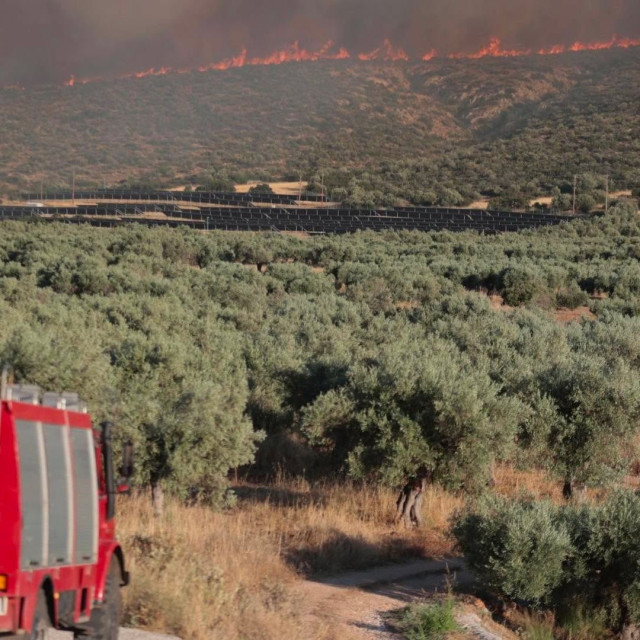 Φωτιά Βοιωτία: Γιατί καίγεται ο τόπος  και δεν σηκώθηκε ούτε ένα εναέριο; Τι απαντά η Πυροσβεστική