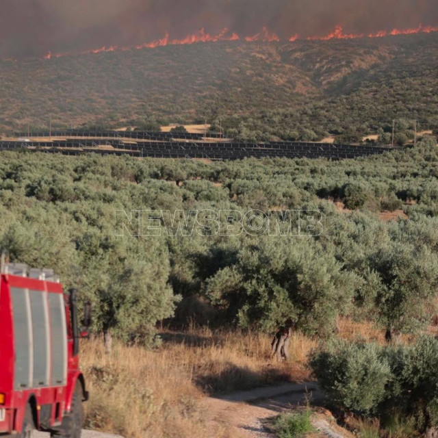 Φωτιά στη Βοιωτία - Περιφερειάρχης Στερεάς Ελλάδας στο Newsbomb: «Έχουμε ακόμα δρόμο μπροστά μας»