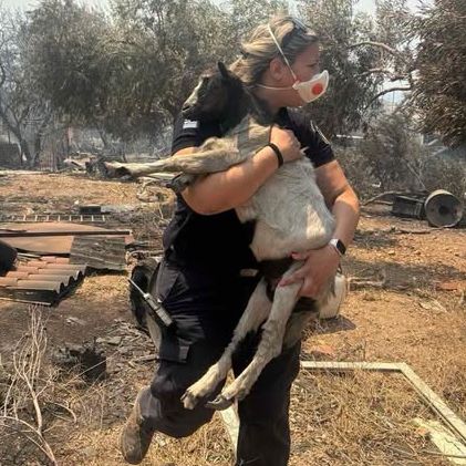 ΕΛΑΣ: «Όταν το καθήκον συναντά την ανθρωπιά» - Η φωτογραφία της αστυνομικού που διέσωσε κατσικάκι