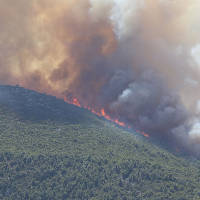 Βοιωτία: Συνελήφθη ο δήμαρχος Στυλίδας για την πυρκαγιά – Στο μικροσκόπιο το δίκτυο ηλεκτροδότησης