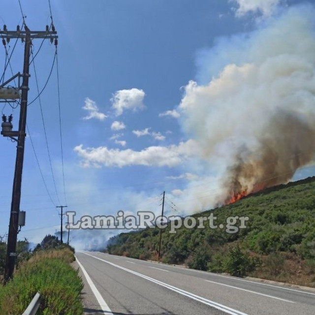 Λαμία: Επικίνδυνη φωτιά στην Καμηλόβρυση - Πέρασε το δρόμο και καίει δασική έκταση