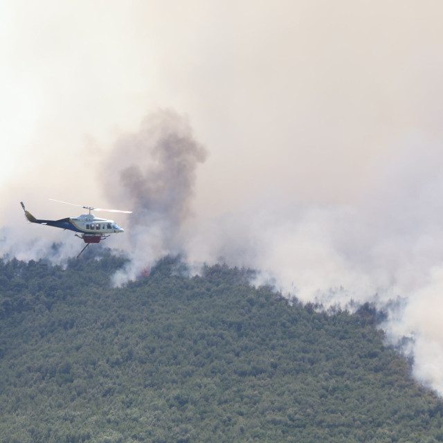 Φωτιά στη Βοιωτία: Με ριπές ανέμων έως και 70 χλμ/ώρα συνεχίζονται οι προσπάθειες κατάσβεσης