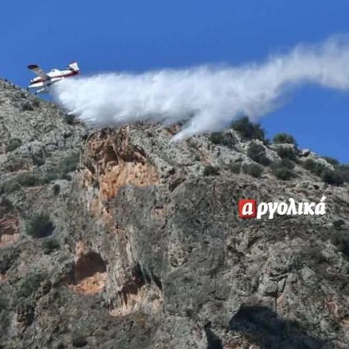 Άργος: Υπό έλεγχο η φωτιά στα Σταθαίικα