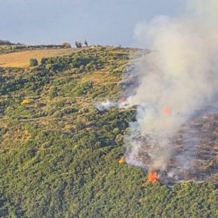 Φωτιά στην Κεφαλονιά: Οι εικόνες από την καταστροφή με το πρώτο φως της ημέρας