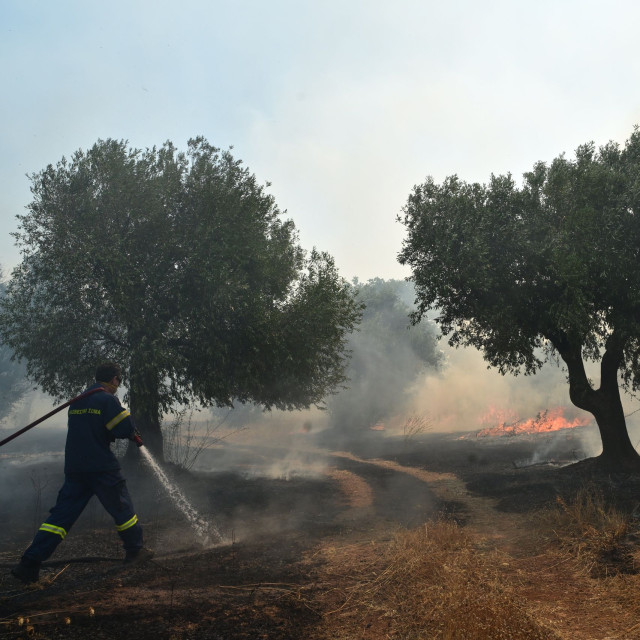 Κεφαλονιά: Νέα αναζωπύρωση στον Κατελειό -Ενισχύσεις από ηπειρωτική Ελλάδα, μία σύλληψη για εμπρησμό