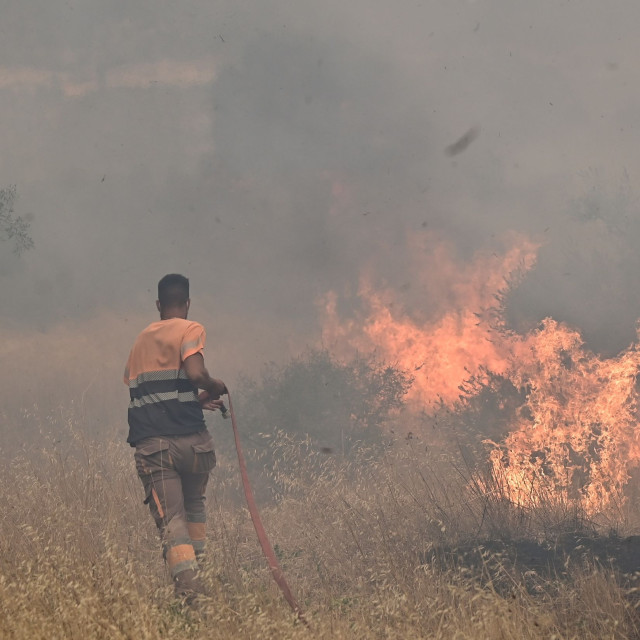 Φωτιά στη Βοιωτία: 2 συλλήψεις για τη μεγάλη πυρκαγιά που κατέκαψε την περιοχή κι έφτασε στην Αττική