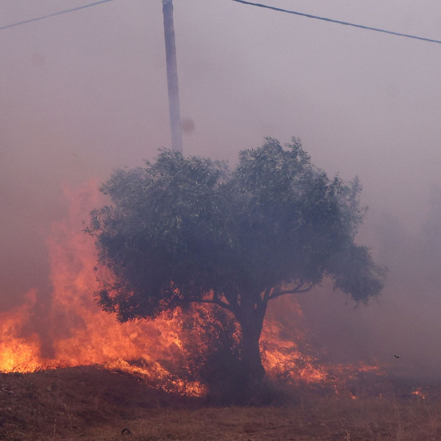 Φωτιά στα Μέγαρα: Κάτοικοι προσπαθούν με κάθε τρόπο να σώσουν τις περιουσίες τους