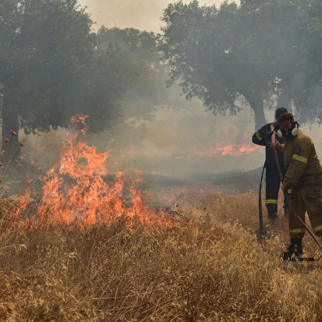 Κρήτη: Συνελήφθη ο υπεύθυνος ΔΕΔΔΗΕ Χανίων για τη φωτιά στην Ίμπρο
