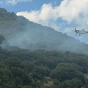 Ηλεία: Οριοθετήθηκε η φωτιά στη Δίβρη