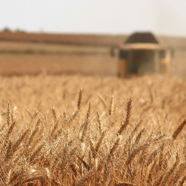 MyAGRO: Έναρξη της νέας ψηφιακής πλατφόρμας για αγροτικές και κτηνοτροφικές ενισχύσεις