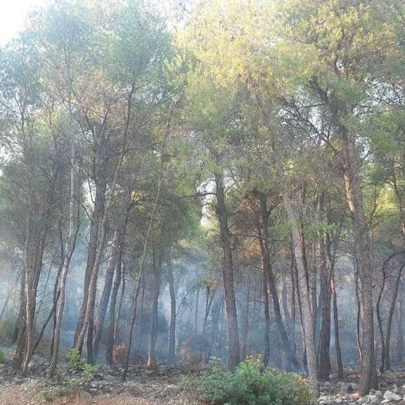 Φωτιά στη Δυτική Αττική: Πώς οι αντιπυρικές ζώνες έσωσαν τα Βίλια