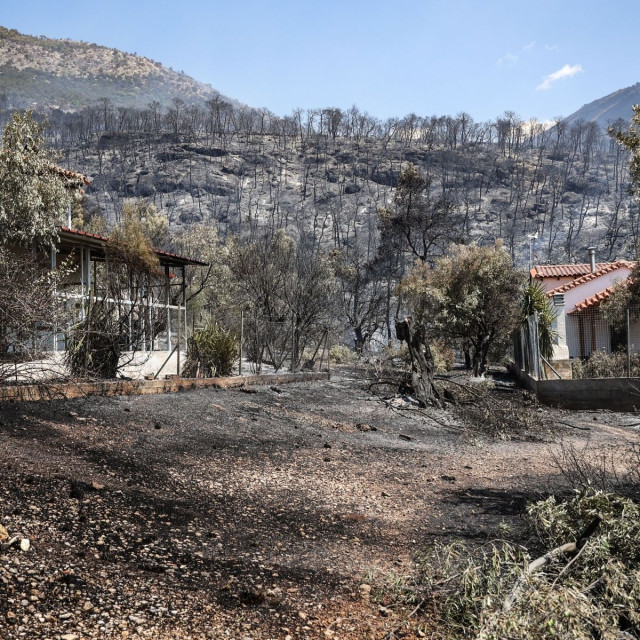 ΕΛΑΣ: Αυτοψία στις πυρόπληκτες περιοχές της Δυτικής Αττικής