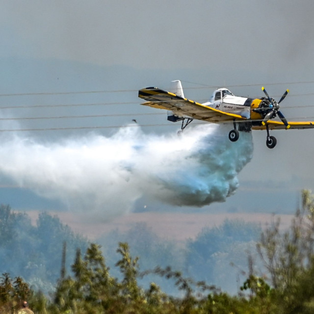 Φωτιά: Τρεις νέες συλλήψεις από την Πυροσβεστική σε Αττική, Τρίκαλα και Πρέβεζα