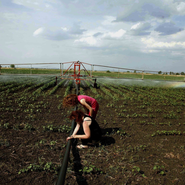 myAGRO: Άνοιξε η πλατφόρμα για την Ενιαία Αίτηση Ενίσχυσης του 2026