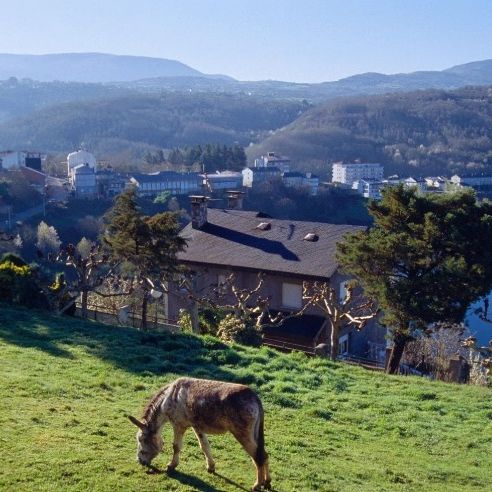 Με τα κλειδιά στο χέρι: Ολόκληρο ισπανικό χωριουδάκι πωλείται όσο ένα πολυτελές ακίνητο στην Αθήνα