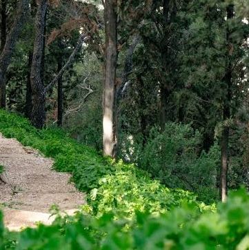 Κλειστός από τα μεσάνυχτα ο λόφος Φινόπουλου λόγω υψηλού κινδύνου πυρκαγιάς