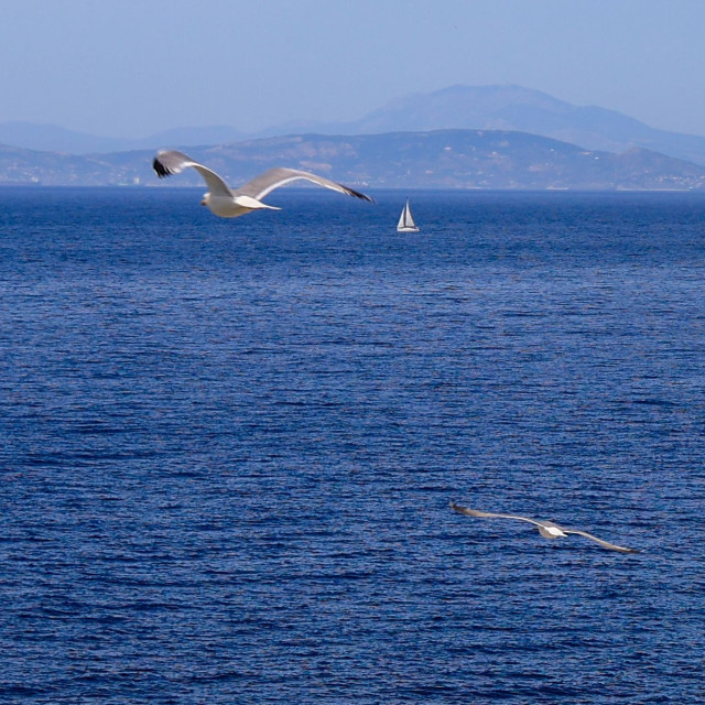 Καιρός: Ανεβαίνει το θερμόμετρο στους 40 βαθμούς με ανέμους έως και 8 μποφόρ