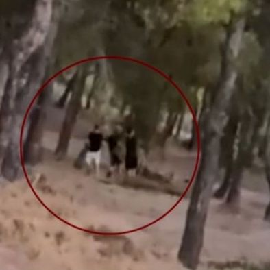 Επικίνδυνα παιχνίδια ανηλίκων: Ανάβουν φωτιά σε δασική περιοχή στο Πεντελικό για «challenge»