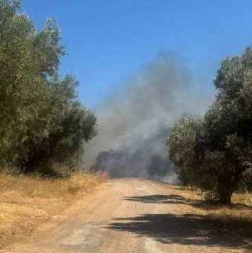 Φωτιά στα Σπάτα: Νεκρός βρέθηκε οδηγός μέσα στο αυτοκίνητό του