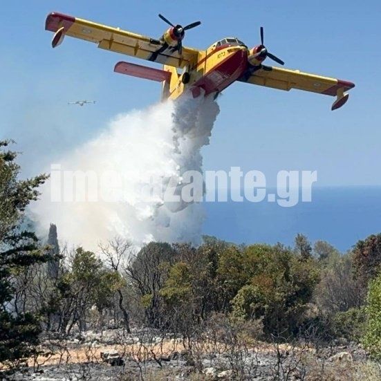 Ζάκυνθος: Οριοθετήθηκε η φωτιά στις Βολίμες - Δύο συλλήψεις για την πυρκαγιά στον Μαραθιά