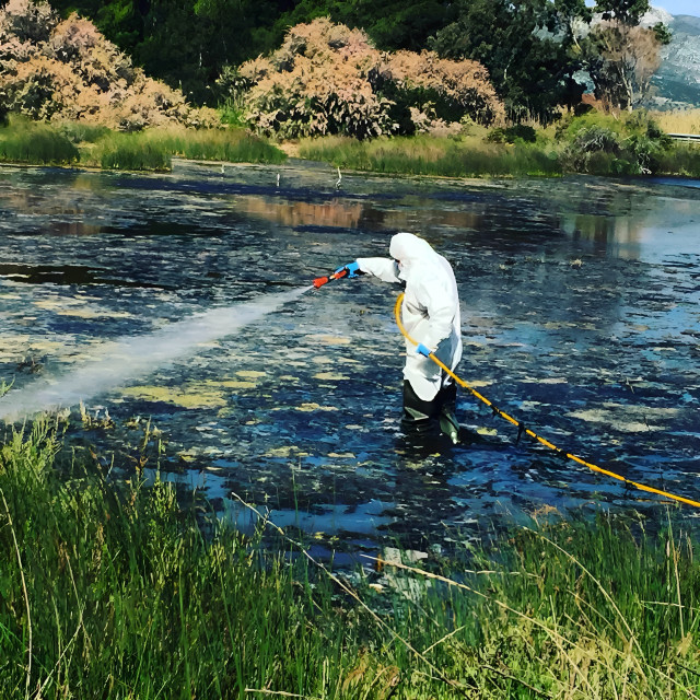Σε πλήρη επιφυλακή η Περιφέρεια Αττικής για την αντιμετώπιση των κουνουπιών - Αυξήθηκαν οι ψεκασμοί