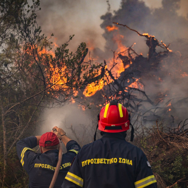 Μάχη με τις φλόγες στη Σίβηρη Χαλκιδικής - 446 άτομα απομακρύνθηκαν με πλωτά μέσα