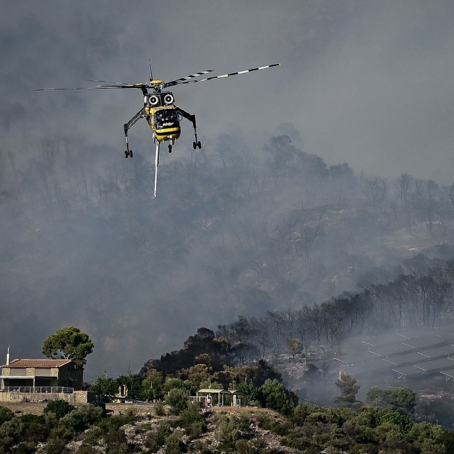 Βοιωτία: Ολοκληρώθηκε η πρώτη αυτοψία στον Άγιο Βασίλειο στο σημείο που ξεκίνησε η μεγάλη φωτιά