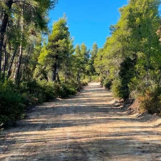 Γεωτεχνικοί Δημόσιοι Υπάλληλοι: «Το Antinero έχει μετρήσιμη αξία στην πρόληψη των πυρκαγιών»