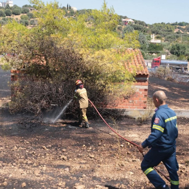Χωρίς ενεργό μέτωπο η φωτιά στην Αργιθέα - Παραμένουν δυνάμεις στο σημείο
